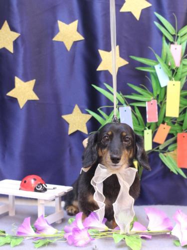 20230727モカちゃん